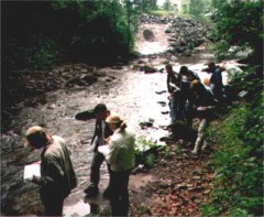 Schaffen wir es, die Hrden des Flusses geistig und auch krperlich zu nehmen?